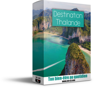 Formation en ligne pour s'expatrier en Thaïlande

