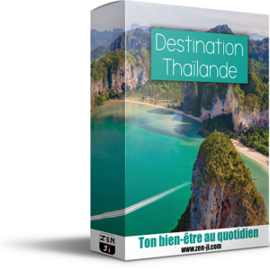 Formation en ligne pour s'expatrier en Thaïlande