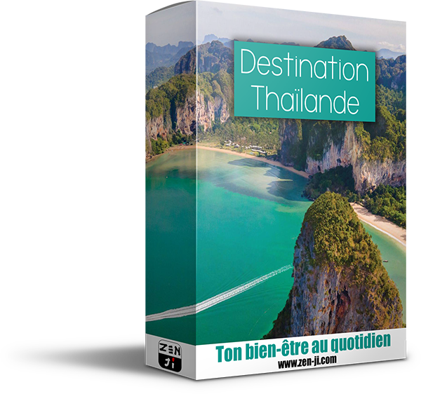 Formation en ligne pour s'expatrier en Thaïlande