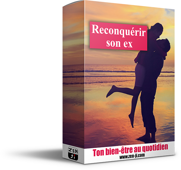 Reconquérir son ex : Comment faire ?